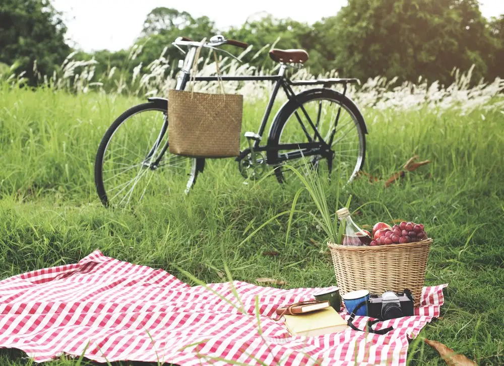 A blanket, picnic basket, and food in the grass - all essentials for a perfect picnic.