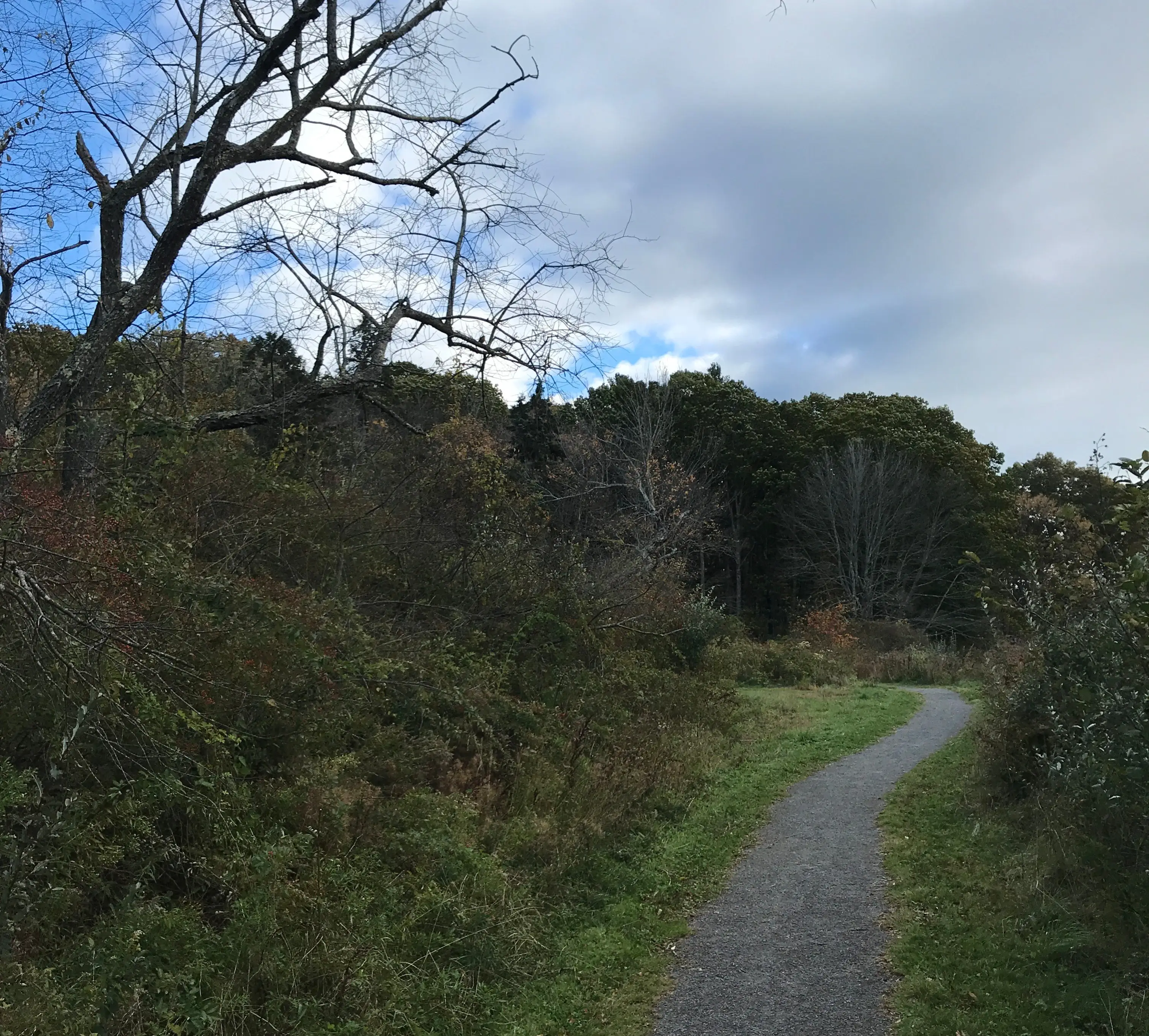The Pleasant Hill Preserve trail - one of the easiest hiking trails around Portland, Maine.