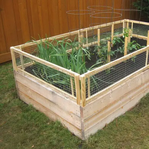 DIY raised bed with removable pest gate