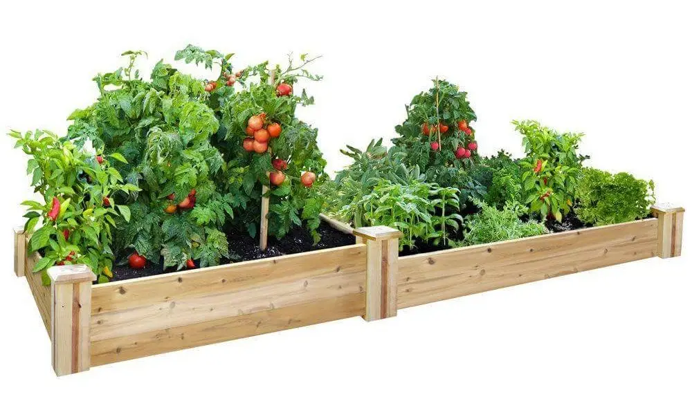 Cedar raised garden bed