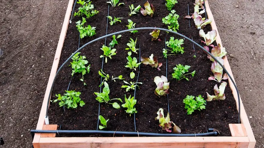 Easy rectangular raised bed