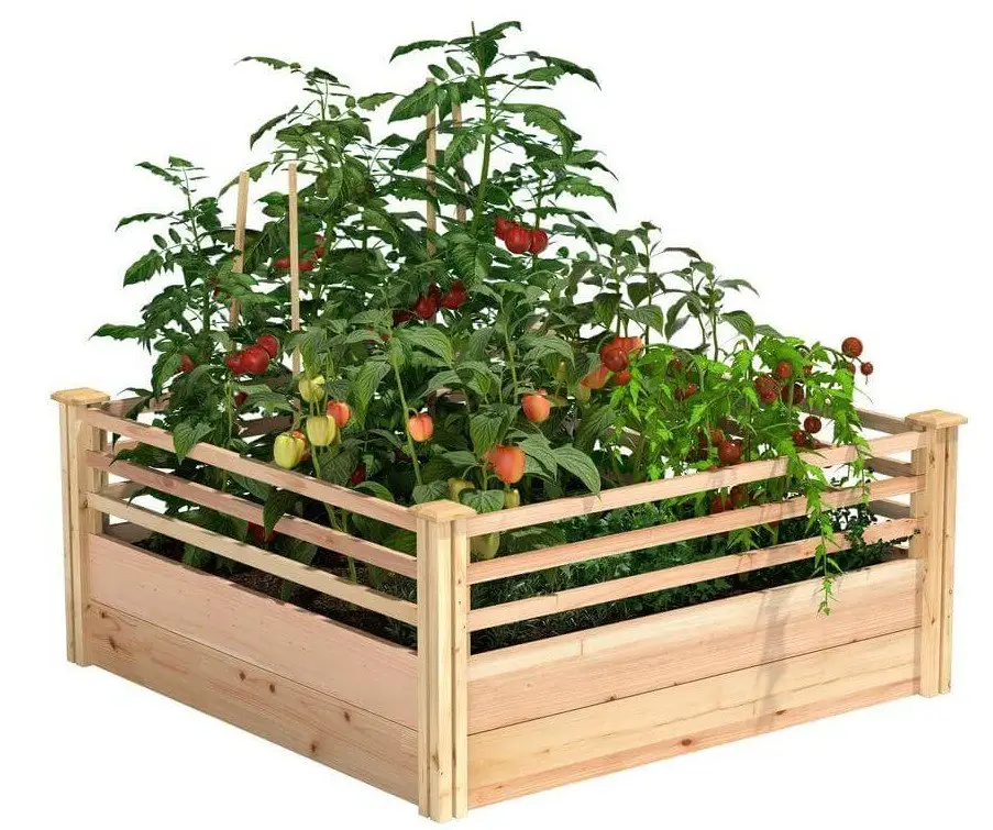 Cedar raised garden bed with corral sides