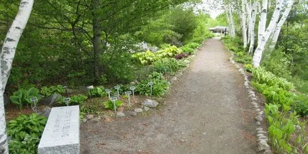 Viles Arboretum - a beautiful public garden in Maine.