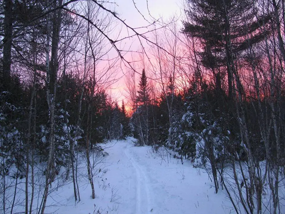 Sun setting on a hiking trail in Bangor, Maine in the Walden Parke Preserve.