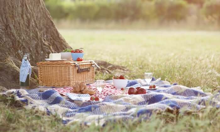 Picnics are a fun thing to do at home during summer.