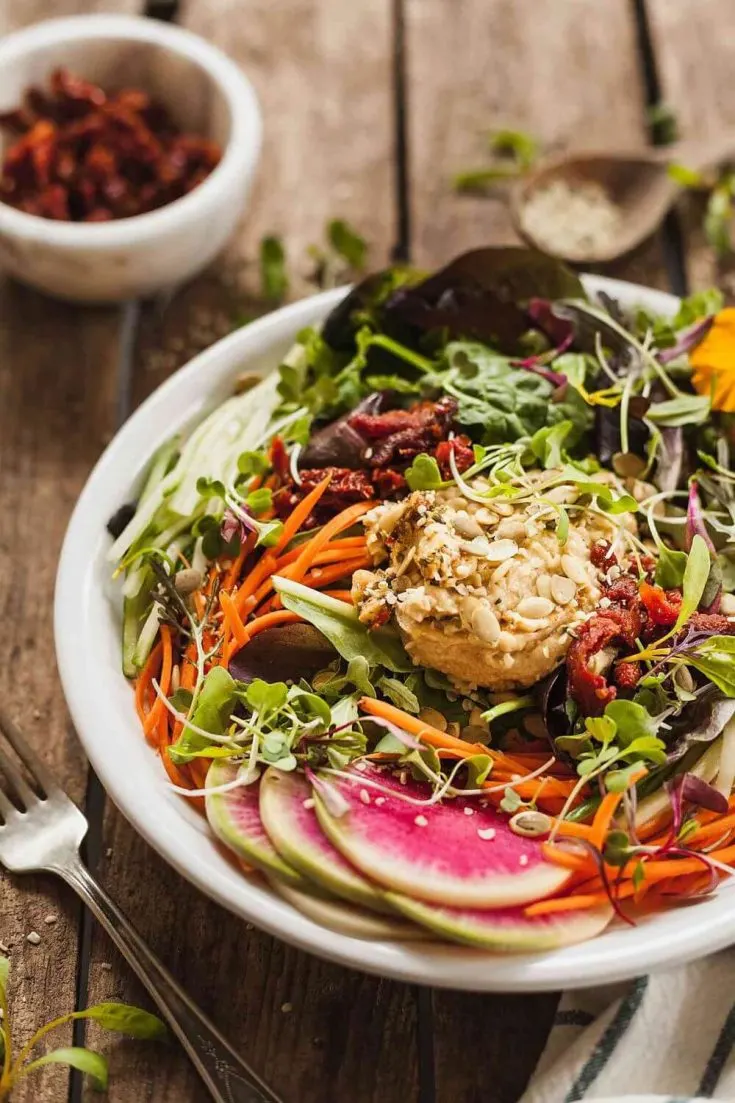 A delicious bowl of high-protein fresh vegan salad with hummus.