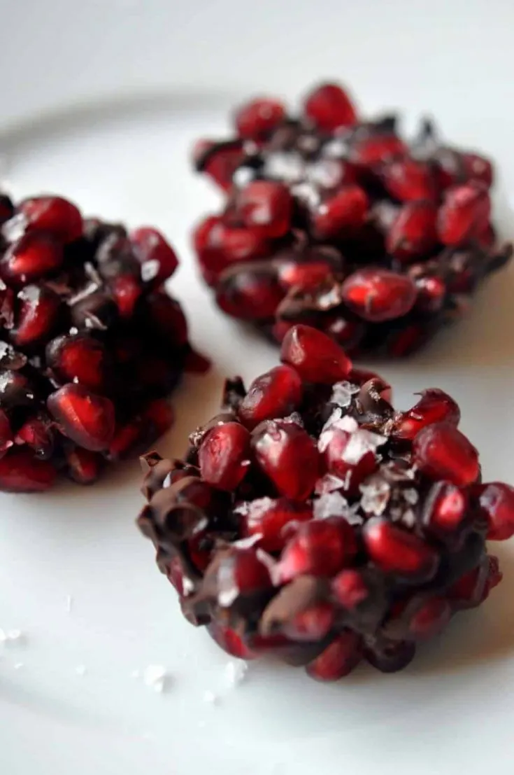 A plate of pomegranat dark chocolate bites topped with sea salt.