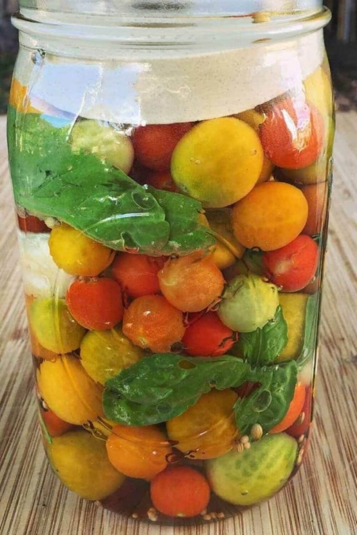 A jar of colorful fermented cherry tomatoes.