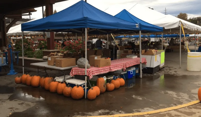 Several tents set up at the Downtown Marquette Farmers Market during a fall day.