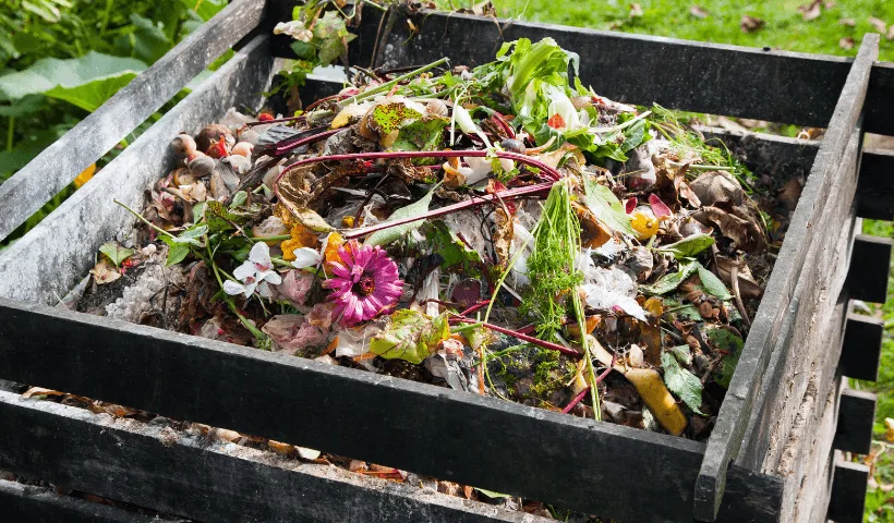 A full compost bin with green food scraps on top.