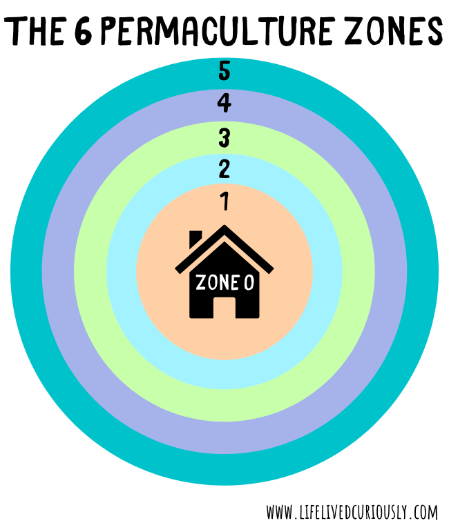 A map of the 6 permaculture zones in a bullseye style with the home in the middle.