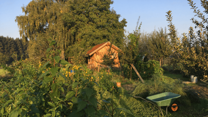 The 6 Permaculture Zones and How To Use Them